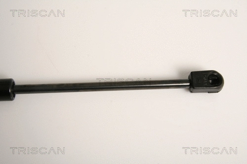Gas Spring, rear window