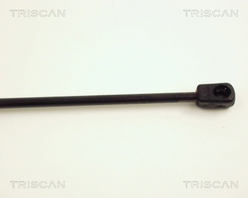 Gas Spring, boot/cargo area