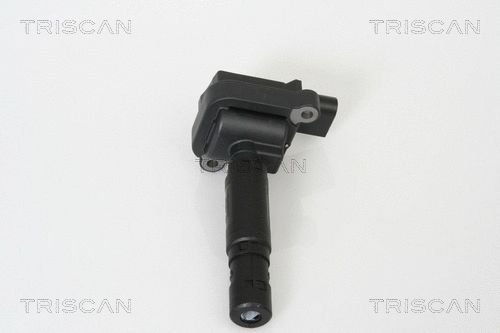 Ignition Coil (8860 23004)