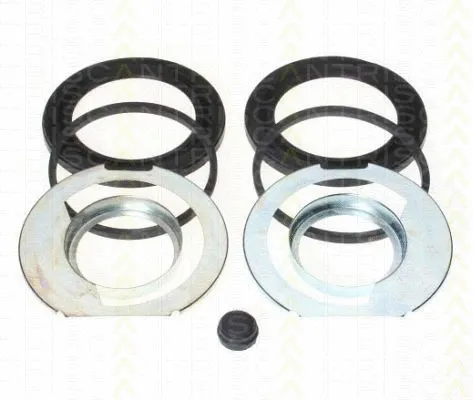 Repair Kit, brake caliper (8170 206002)