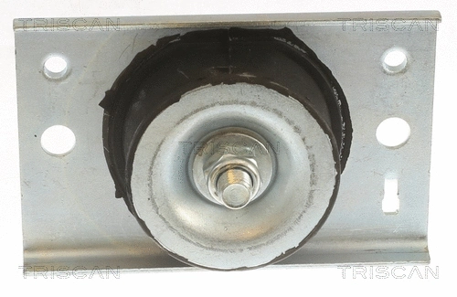 Mounting, engine