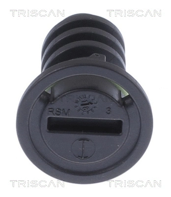 Screw Plug, oil sump