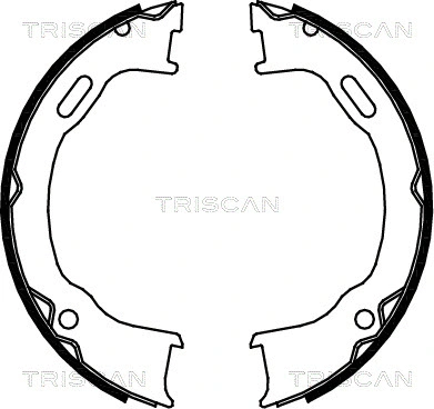 Brake Shoe Set, parking brake (8100 80012)