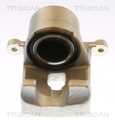 Brake Caliper (8175 13120)