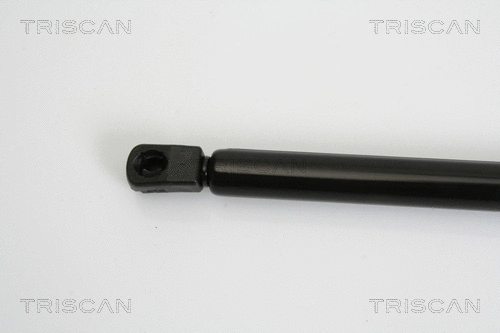 Gas Spring, boot/cargo area