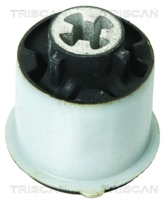 Bushing, axle beam (8500 16824)