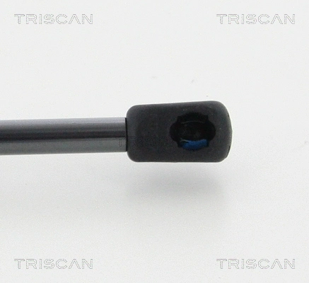 Gas Spring, boot/cargo area