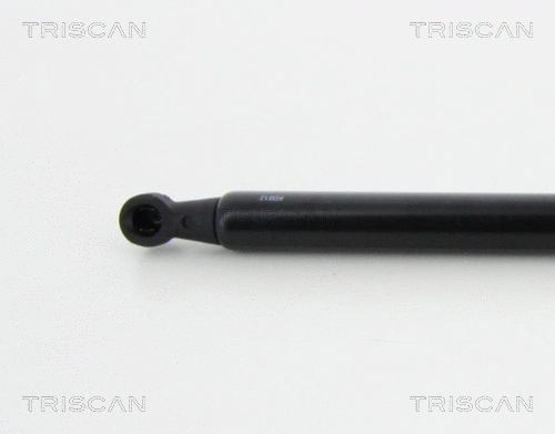 Gas Spring, boot/cargo area