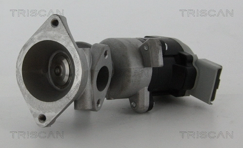 EGR Valve (8813 17020)