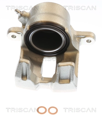 Brake Caliper (8175 69114)