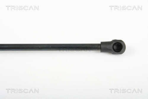 Gas Spring, rear window