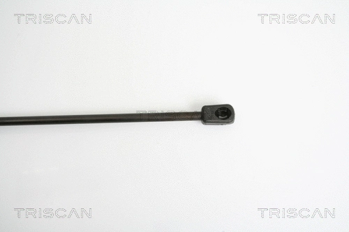 Gas Spring, boot/cargo area