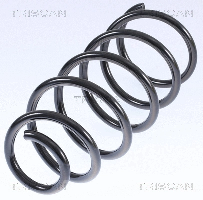 Suspension Spring (8750 29074)