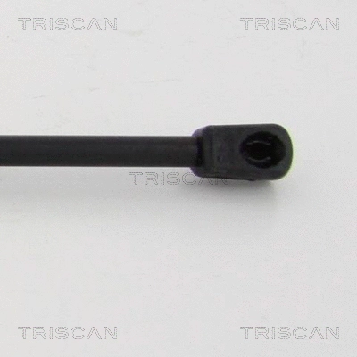 Gas Spring, boot/cargo area