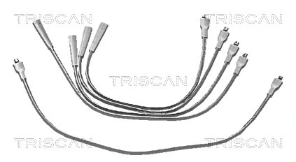 Ignition Cable Kit (8860 3519)