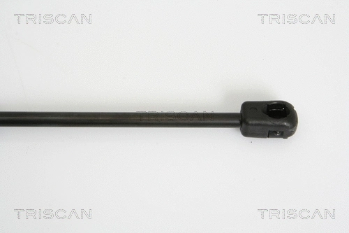 Gas Spring, boot/cargo area