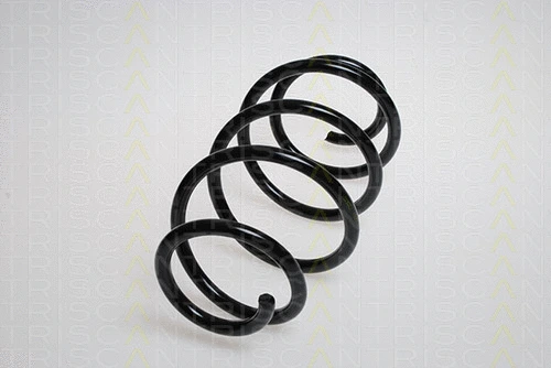 Suspension Spring (8750 6528)