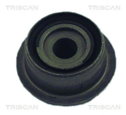 Bushing, axle beam (8500 28817)
