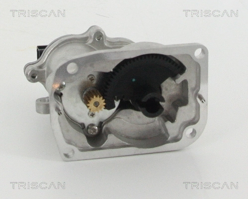 EGR Valve