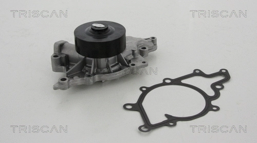 Water Pump, engine cooling (8600 80018)