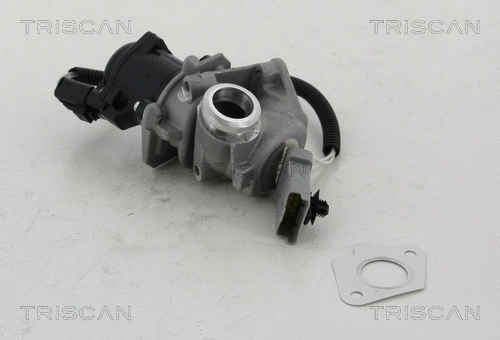 EGR Valve