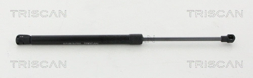 Gas Spring, boot/cargo area (8710 15256)
