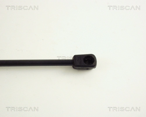 Gas Spring, boot/cargo area