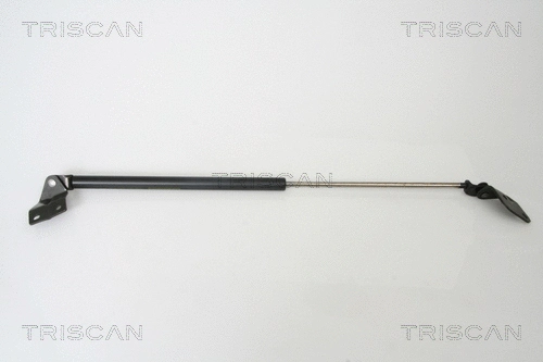 Gas Spring, boot/cargo area (8710 69213)