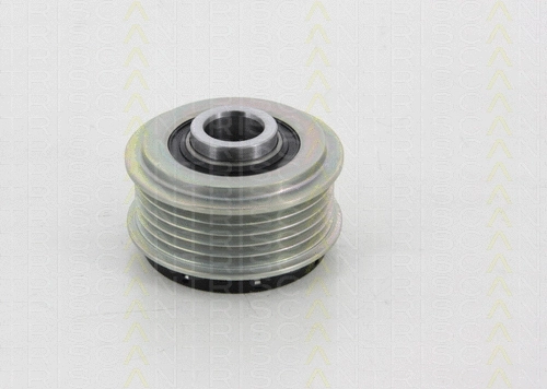 Alternator Freewheel Clutch (8641 134001)