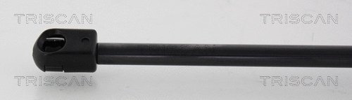 Gas Spring, boot/cargo area