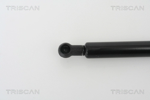 Gas Spring, boot/cargo area
