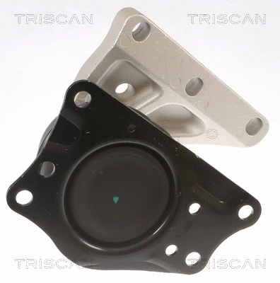 Mounting, engine
