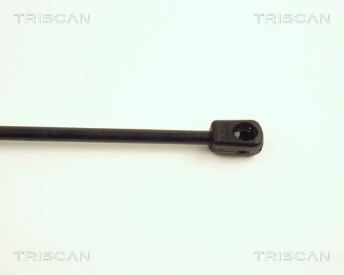 Gas Spring, boot/cargo area