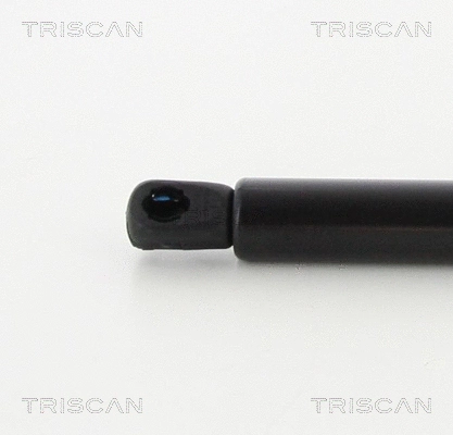 Gas Spring, boot/cargo area
