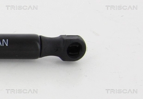 Gas Spring, boot/cargo area (8710 21211)