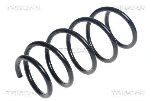 Suspension Spring (8750 15215)