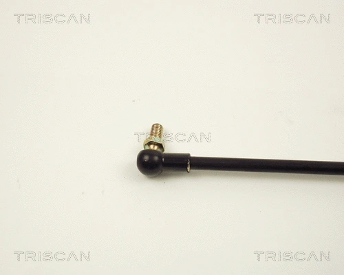 Gas Spring, boot/cargo area