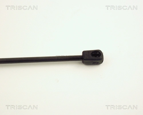 Gas Spring, boot/cargo area