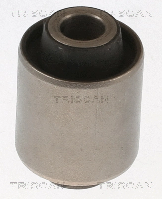 Mounting, control/trailing arm (8500 10889)