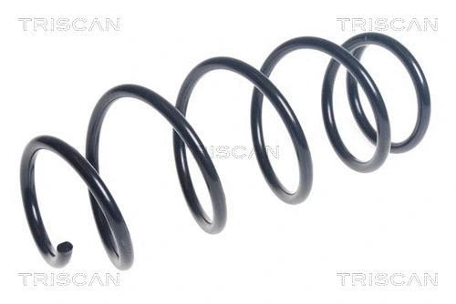 Suspension Spring (8750 1049)
