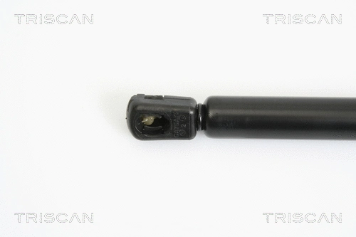 Gas Spring, boot/cargo area
