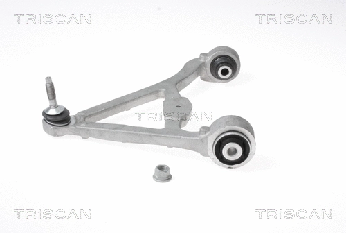 Control/Trailing Arm, wheel suspension (8500 165028)