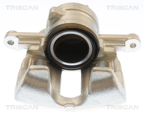 Brake Caliper (8175 10133)