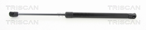 Gas Spring, boot/cargo area