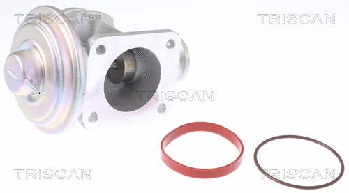 EGR Valve (8813 11004)