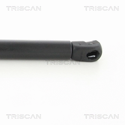 Gas Spring, boot/cargo area