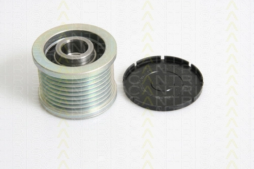 Alternator Freewheel Clutch (8641 234017)
