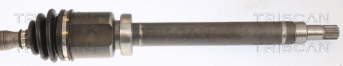 Drive Shaft