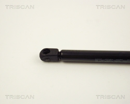 Gas Spring, boot/cargo area