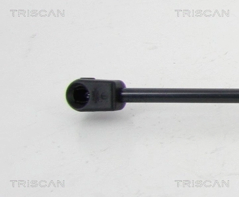 Gas Spring, boot/cargo area
